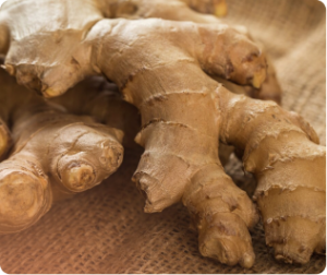 Ginger