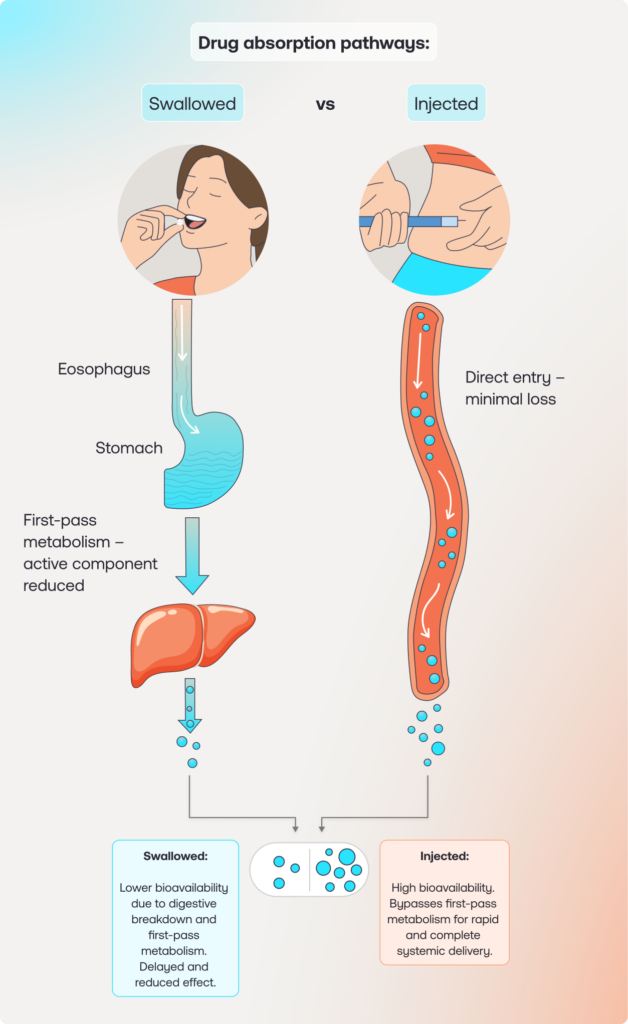 An educational infographic titled "Drug absorption pathways: Swallowed vs Injected." It illustrates how swallowed pills pass through the digestive system and liver (reducing potency), while injections enter the bloodstream directly for higher bioavailability.