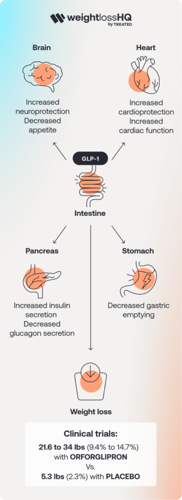 orforglipron vs retatrutide What Is Foundayo? The New GLP-1 Pill